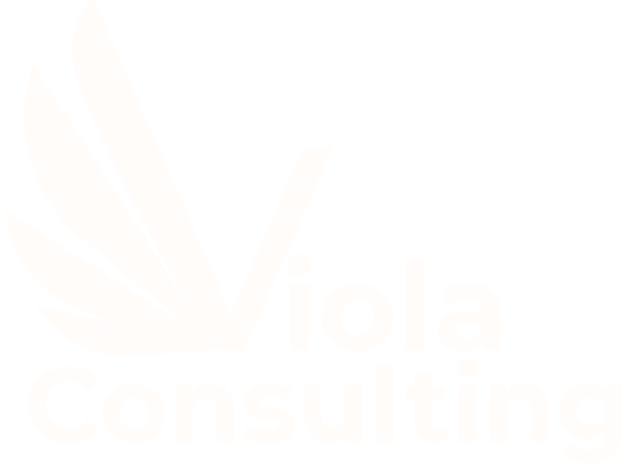 Viola Consulting